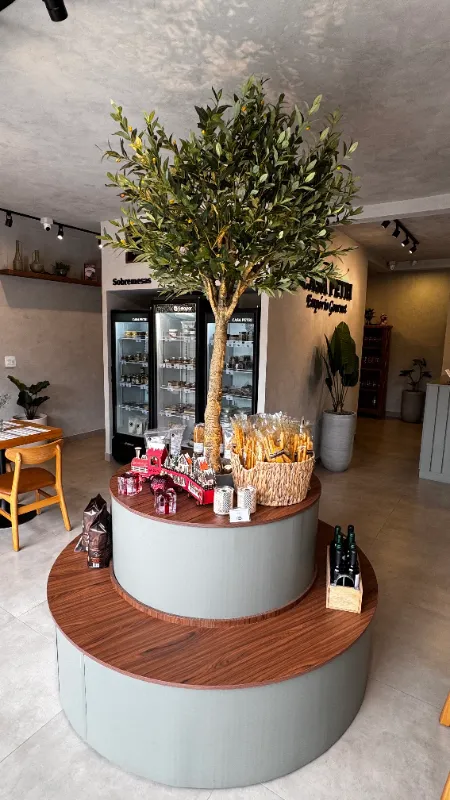 Árvore natural no centro da loja, cercada por produtos da Casa Petri